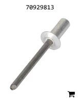 AGCO 70929813 Заклепка