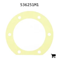 AGCO 536251M1 Шайба