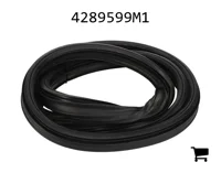 AGCO 4289599M1 Уплотнение