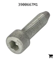 AGCO 3900667M1 Винт