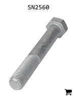 AGCO SN2560 Болт с шестигранной головкой
