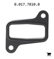 AGCO 0.017.7810.0 Прокладка впускного коллектора