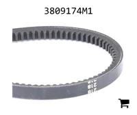 AGCO 3809174M1 Ремень клиновой