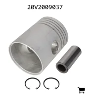 AGCO 20V2009037 Поршень