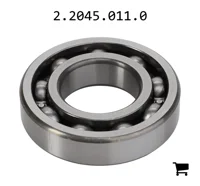 AGCO 2.2045.011.0 Шариковый подшипник