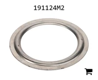 AGCO 191124M2 Шайба