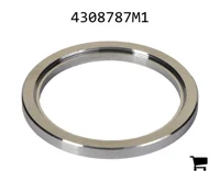 AGCO 4308787M1 Шайба