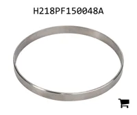 AGCO H218PF150048A Стопорная шайба