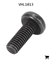 AGCO VHL1013 Винт