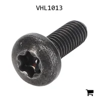 AGCO VHL1013 Винт