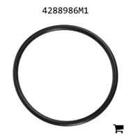 AGCO 4288986M1 Уплотнительное кольцо
