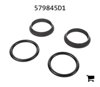 AGCO 579845D1 Ремкомплект