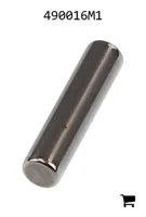 AGCO 490016M1 Игольчатый ролик