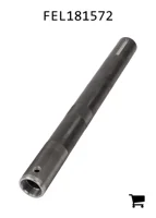 AGCO FEL181572 Ось