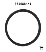 AGCO 3016884X1 Плоское уплотнение