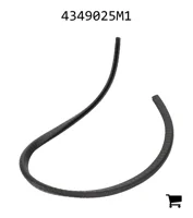 AGCO 4349025M1 Прокладка