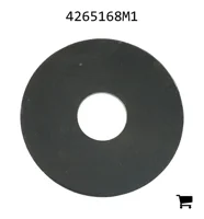 AGCO 4265168M1 Шайба