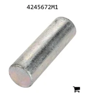 AGCO 4245672M1 Вал
