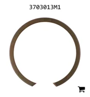 AGCO 3703013M1 Кольцо