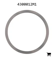 AGCO 4300012M1 Регулировочная шайба