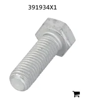 AGCO 391934X1 Болт с шестигранной головкой