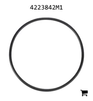 AGCO 4223842M1 Уплотнительное кольцо корпуса термостата