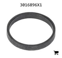 AGCO 3016896X1 Плоское уплотнение