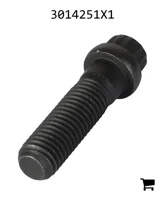 AGCO 3014251X1 Винт с 12-гранной головкой с фланцем