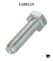 AGCO E100119 Болт
