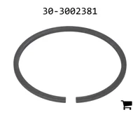 AGCO 30-3002381 Кольцо