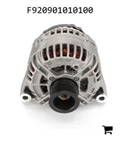 AGCO F920901010100 Генератор