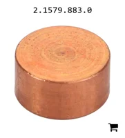 AGCO 2.1579.883.0 Проставочная втулка