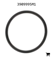 AGCO 3909995M1 Уплотнительное кольцо для муфты, Ø 29 X 2 мм