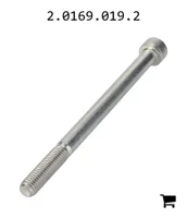AGCO 2.0169.019.2 Винт