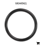 AGCO VKH4961 Уплотнительное кольцо