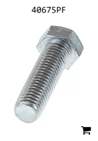 AGCO 40675PF Винт