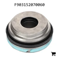 AGCO F903152070060 Поршень