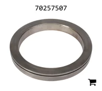 AGCO 70257507 Поршень