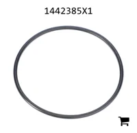 AGCO 1442385X1 Уплотнительное кольцо гидравлического фильтра