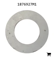 AGCO 1876927M1 Шайба