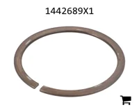 AGCO 1442689X1 Стопорное кольцо