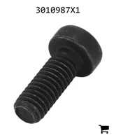 AGCO 3010987X1 Винт с цилиндрической головкой и шестигранным углублением