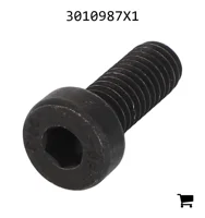 AGCO 3010987X1 Винт с цилиндрической головкой и шестигранным углублением