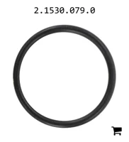 AGCO 2.1530.079.0 Уплотнительное кольцо