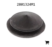 AGCO 2801324M1 Заглушка