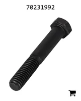 AGCO 70231992 Винт