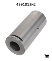 AGCO 4301813M2 Палец вилки