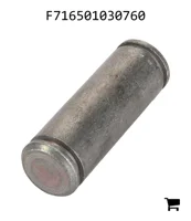 AGCO F716501030760 Болт