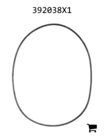 AGCO 392038X1 Уплотнительное кольцо