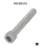 AGCO 401881X1 Болт